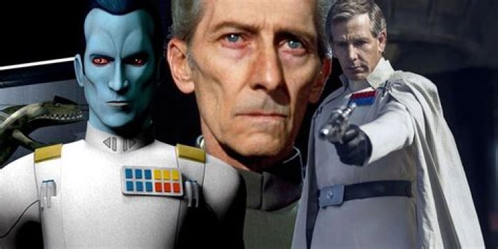 All Badges & Color Meanings